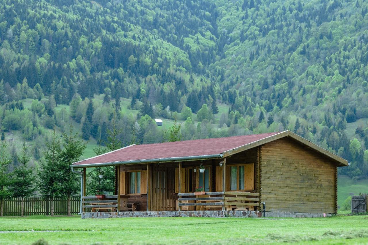 Biotour Camping & Restaurant Ghimeş-Făget Extérieur photo